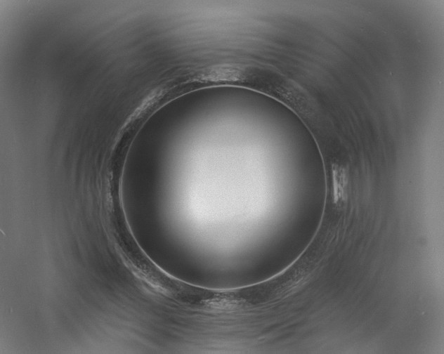 X0000060740300200511101115