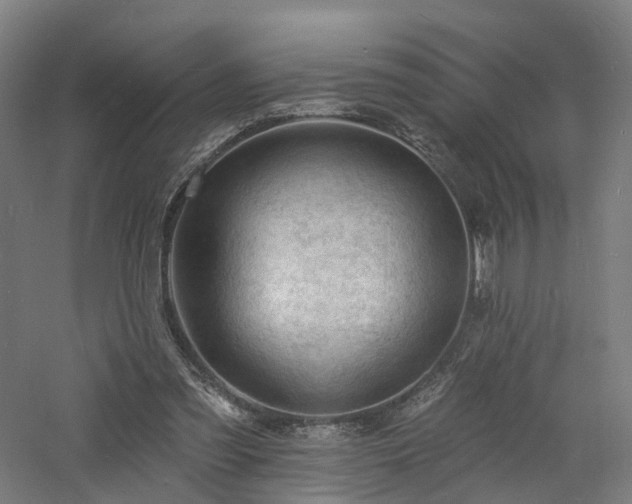 X0000060740301200511101115