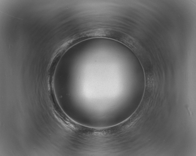 X0000060740302200511101115