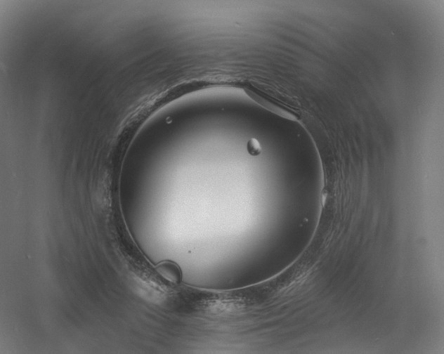 X0000060740303200511101115