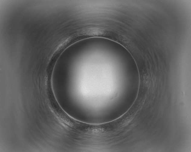 X0000060740304200511101115