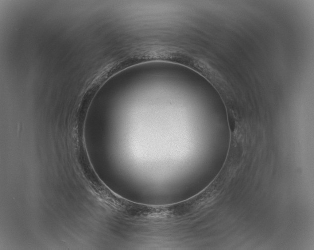 X0000060740306200511101115