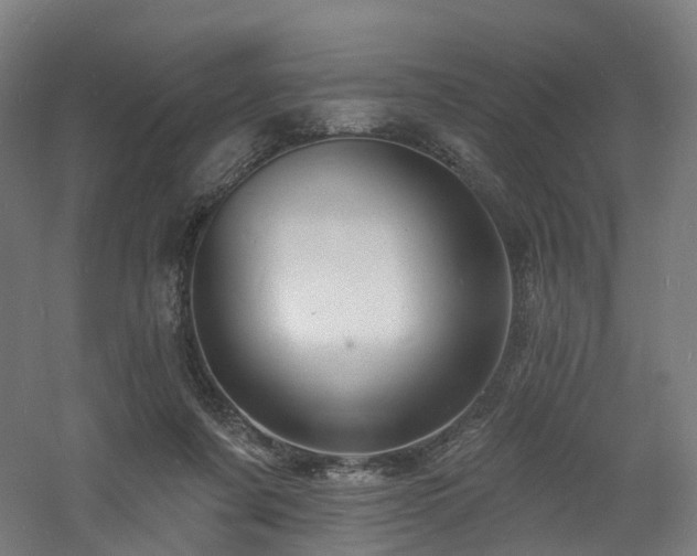 X0000060740311200511101115