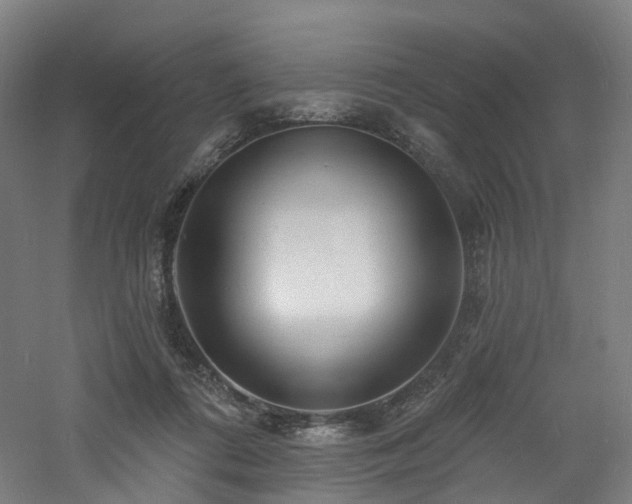 X0000060740312200511101115