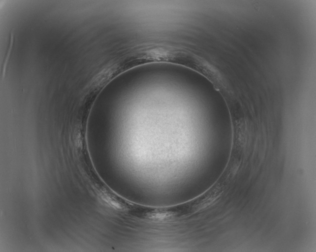 X0000060740313200511101115