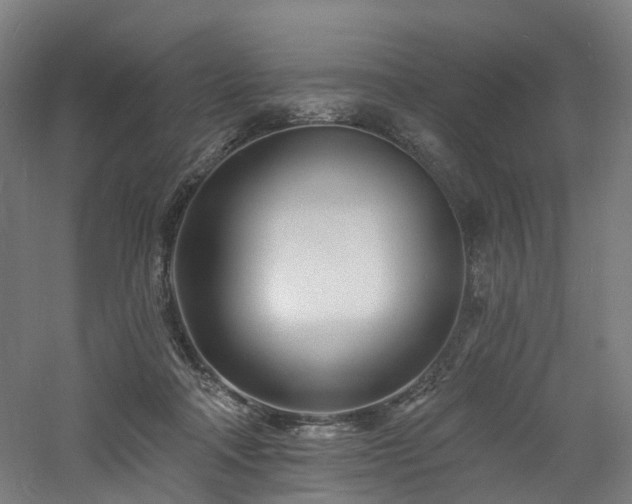 X0000060740314200511101115