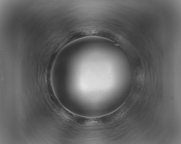 X0000060740315200511101115