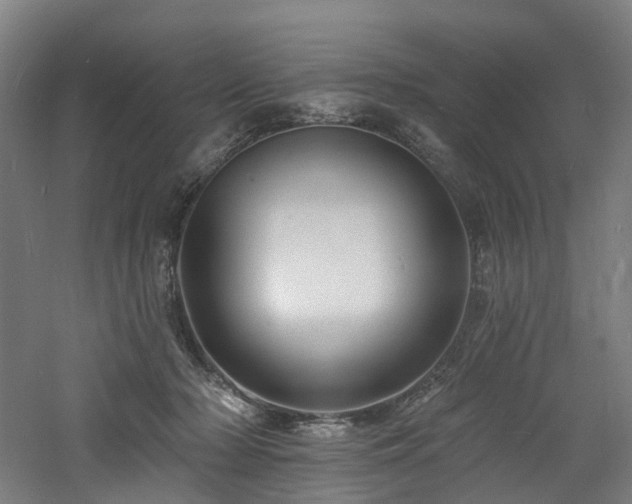 X0000060740318200511101115