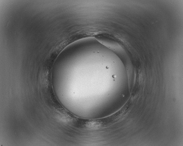 X0000060740319200511101115