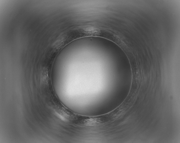 X0000060740320200511101115