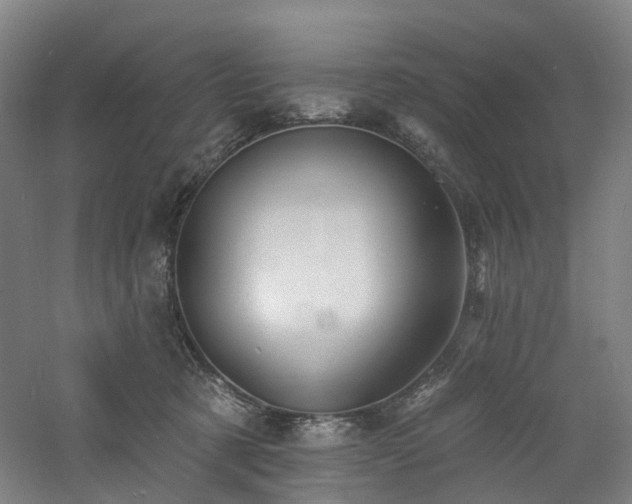 X0000060740321200511101115