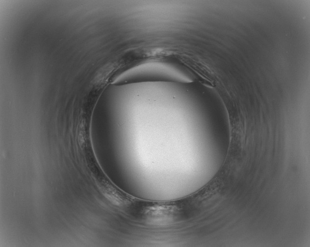 X0000060740323200511101115