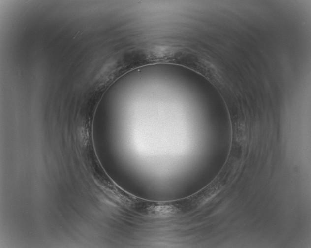 X0000060740324200511101115