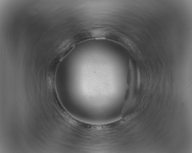 X0000060740329200511101114