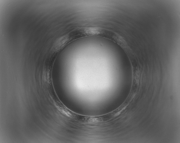 X0000060740330200511101114