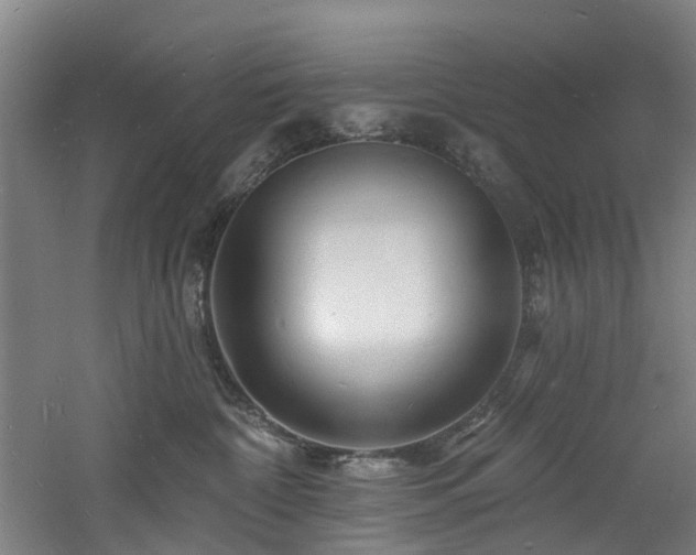 X0000060740332200511101114