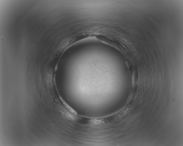 X0000060740333200511101114