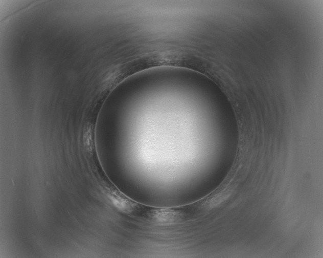 X0000060740336200511101114