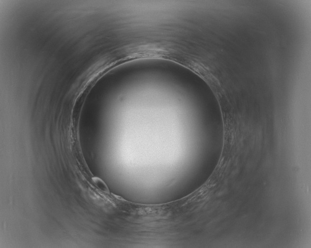 X0000060740338200511101114