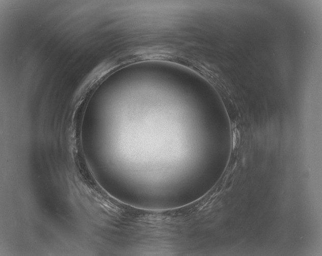 X0000060740339200511101114