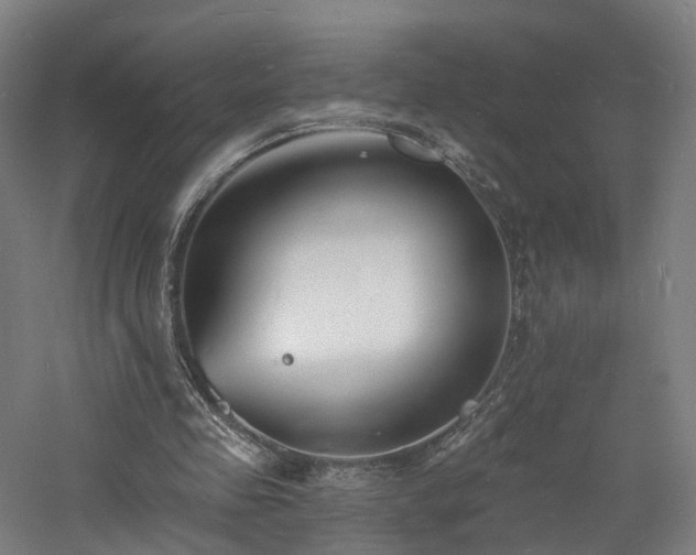 X0000060740341200511101114