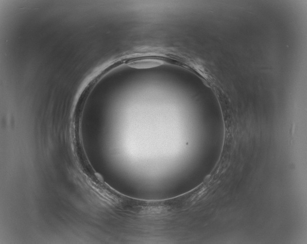 X0000060740342200511101114