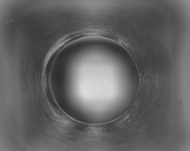 X0000060740343200511101114