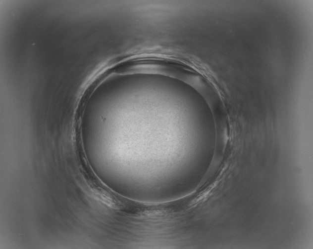 X0000060740344200511101114