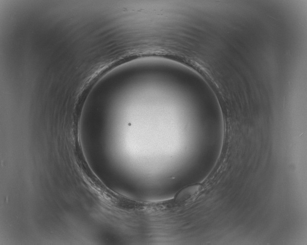 X0000060740345200511101114