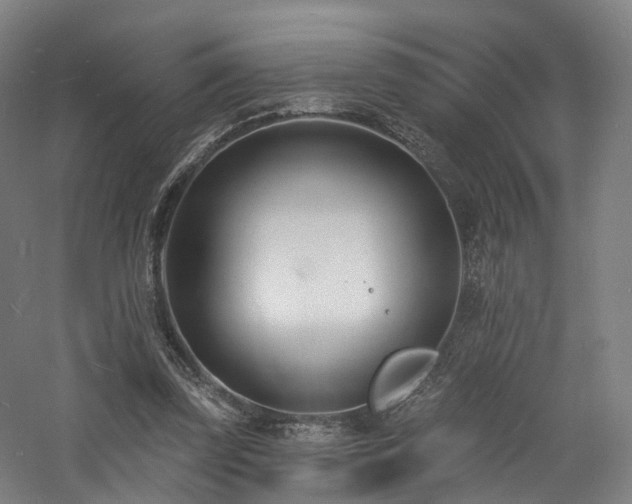 X0000060740347200511101114