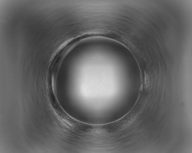 X0000060740348200511101114