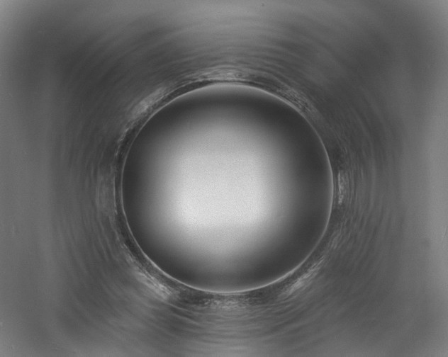 X0000060740349200511101114