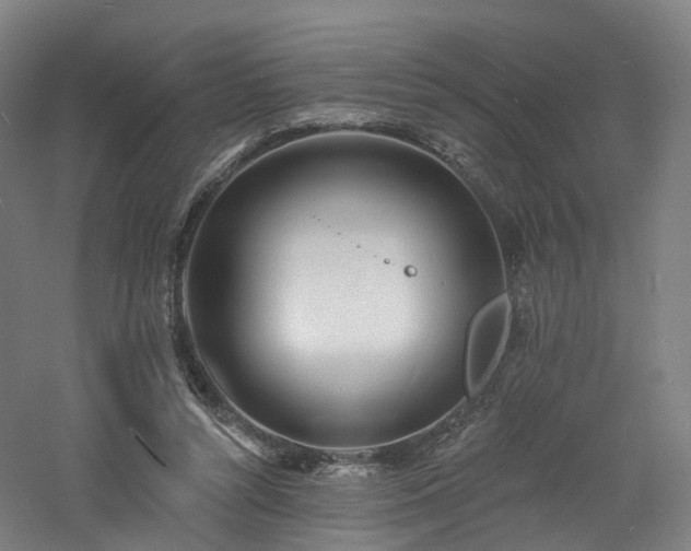 X0000060740352200511101114