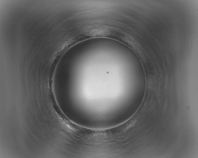 X0000060740353200511101114