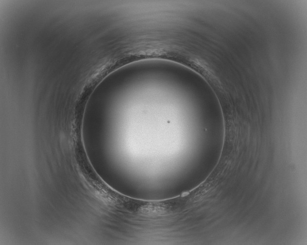 X0000060740354200511101114