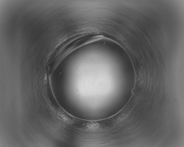 X0000060740355200511101114