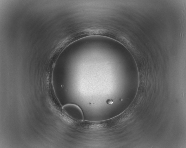 X0000060740357200511101114