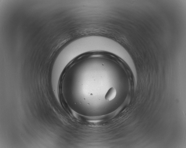 X0000060740360200511101114