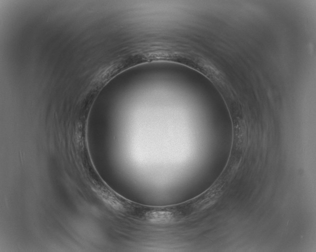 X0000060740361200511101114