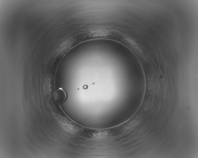 X0000060740362200511101114