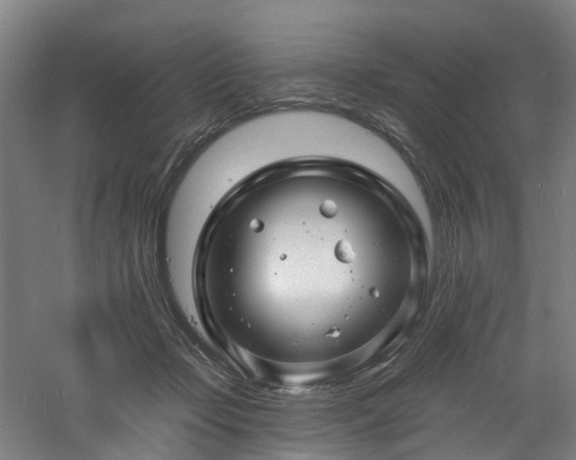 X0000060740365200511101114