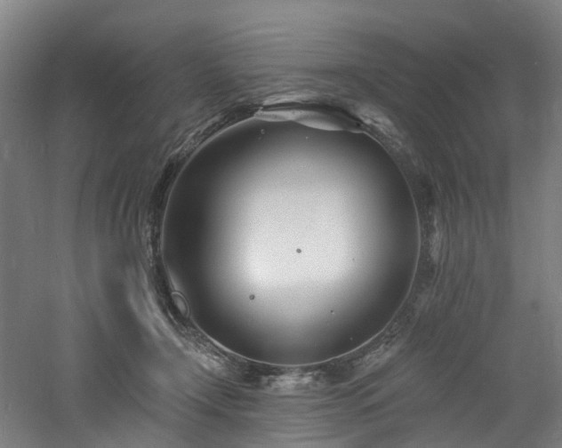 X0000060740366200511101114