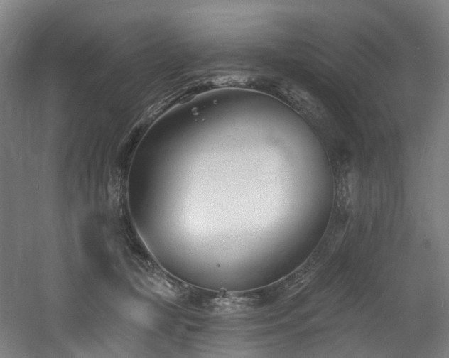 X0000060740367200511101114