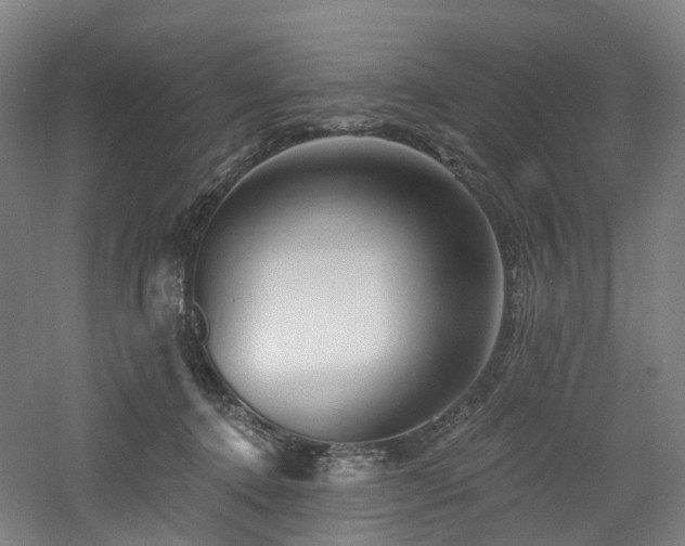 X0000060740368200511101114