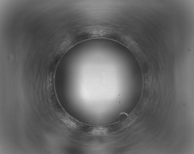 X0000060740369200511101114