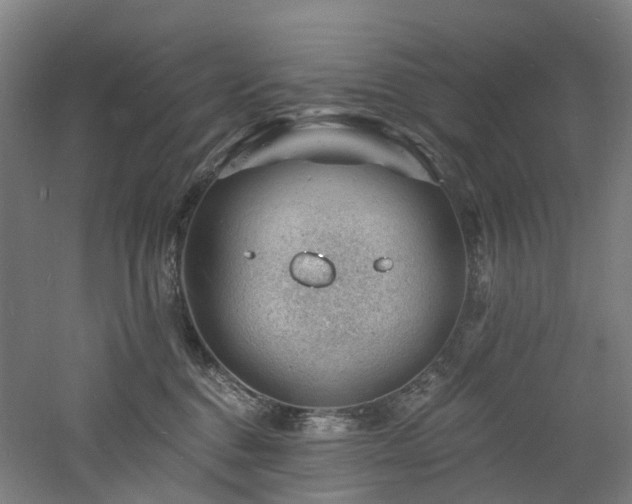 X0000060740376200511101114