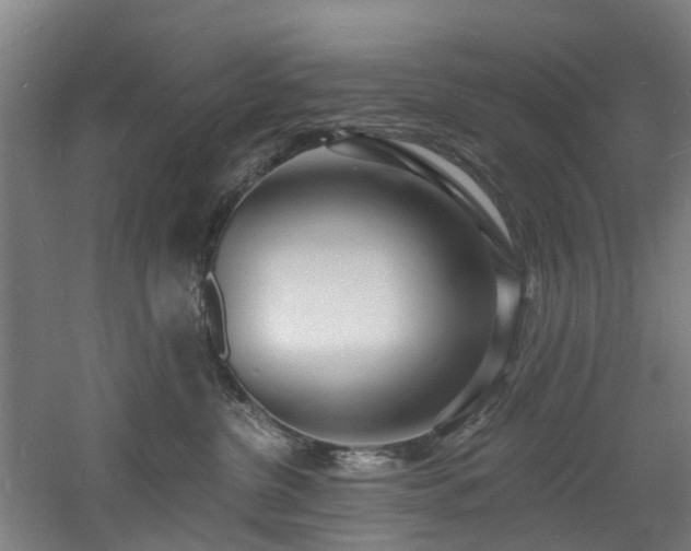 X0000060740380200511101114