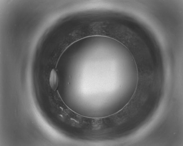 X0000060740382200511101114