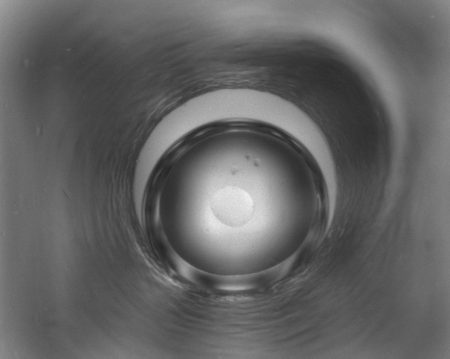 X0000060740383200511101114