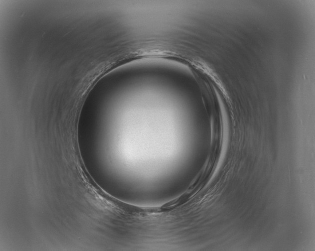 X0000060740385200511101114